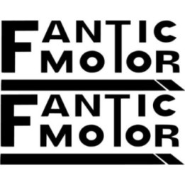 Fantic Logo Die Cut Style 2 Stickers Decals - DecalsHouse