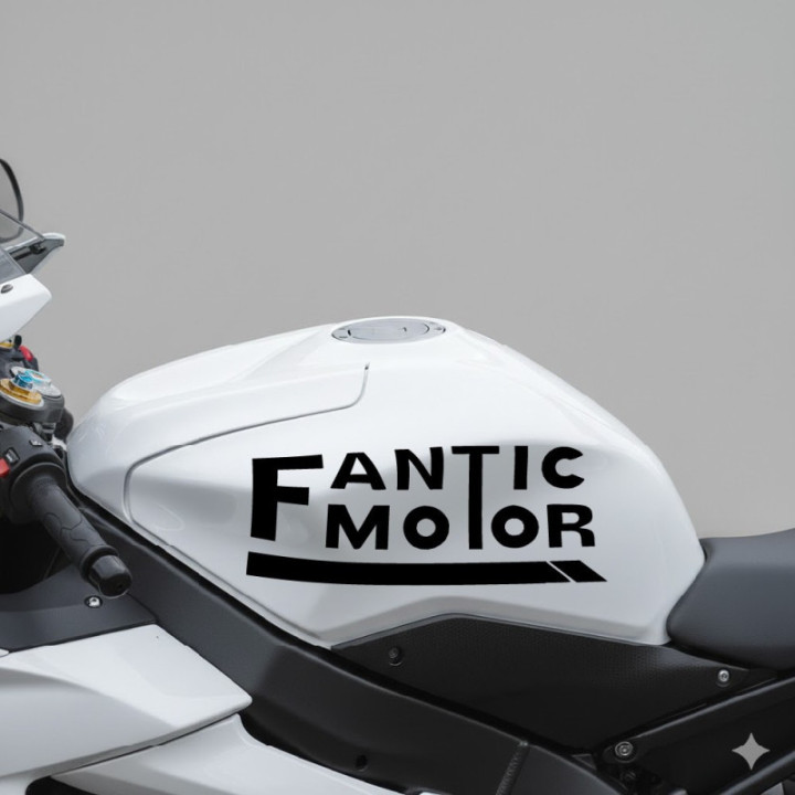 Fantic Logo Die Cut Style 2 Stickers Decals - DecalsHouse