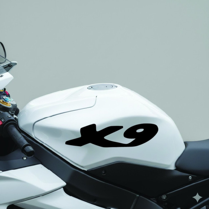 Piaggio X9 Die Cut Stickers Decals - DecalsHouse
