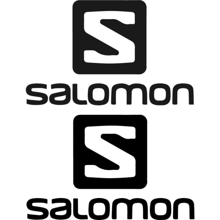 Salomon Logo Vinyl Stickers 2-Pack