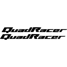 Suzuki Quadracer 450 Die Cut Stickers Decals - DecalsHouse