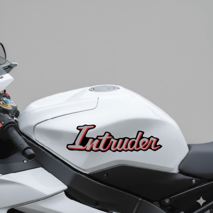 Suzuki Intruder Stickers Decals - DecalsHouse