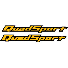 Suzuki Quadsport Stickers Decals - DecalsHouse