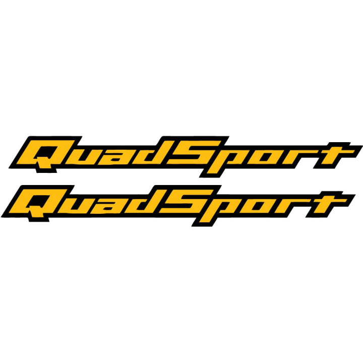 Suzuki Quadsport Stickers Decals - DecalsHouse