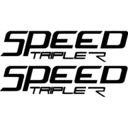 Triumph Speed Triple R Die Cut Stickers Decals - DecalsHouse