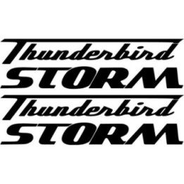 Triumph Thunderbird Storm Stickers – Cruiser Lettering Motorcycle Decals (2-Pack)