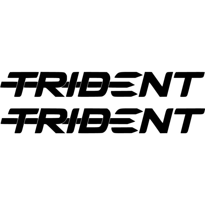 Triumph Trident 660 Naked Bike Stickers – Motorcycle Decals (2-Pack)