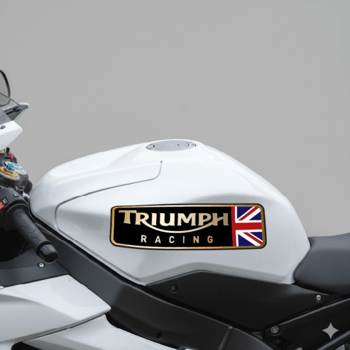 Triumph Racing Stickers – Daytona Speed Triple Decals (2-Pack)