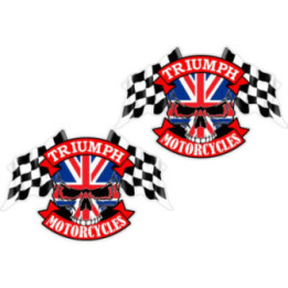Triumph Logo Skull Style 3 Stickers Decals - DecalsHouse
