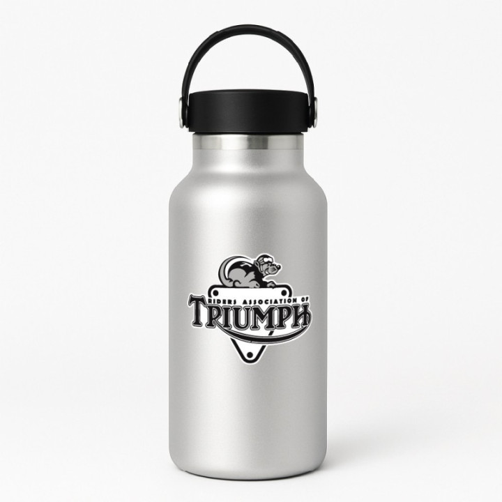 Triumph Logo Style 23 Stickers Decals - DecalsHouse