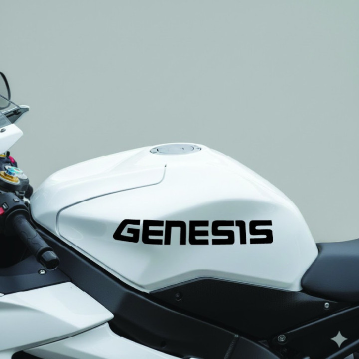 Yamaha Genesis Stickers – FZ1 FZS1000 Fazer Engine Decals (2-Pack)