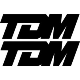 Yamaha Tdm Die Cut Style 2 Stickers Decals - DecalsHouse