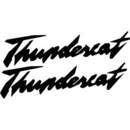 Yamaha Yzf 1000 Thunderace Lettering Die Cut Stickers Decals - DecalsHouse