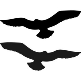 Buy Arend 2 Decal Sticker Online