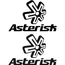 Asterisk Stickers – MX Knee Brace Motocross Decals (2-Pack)