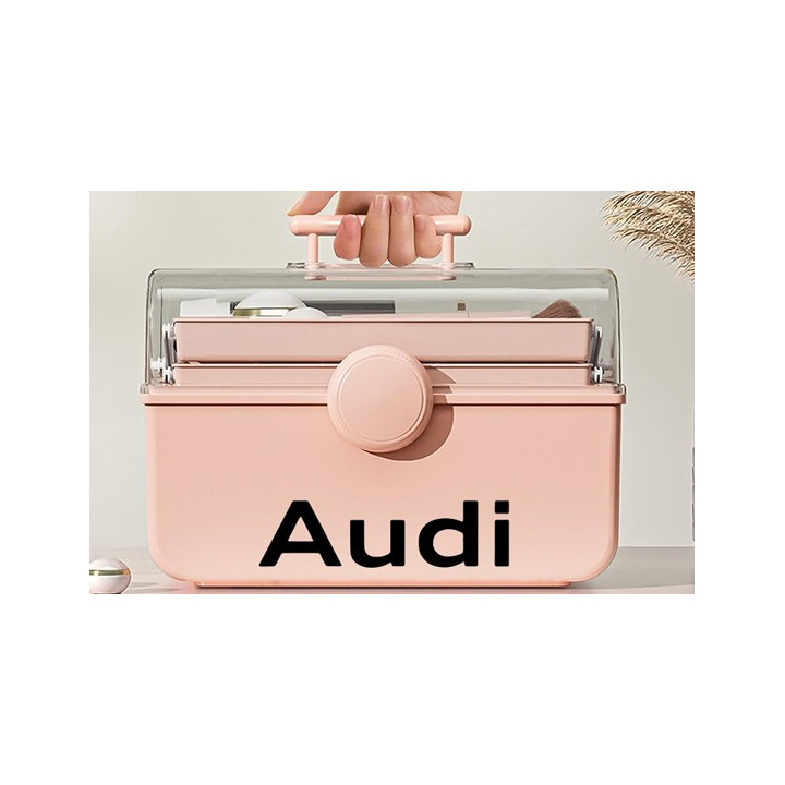 Buy Audi 6 Decal Sticker Online