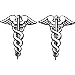 2x Caduceu Sticker Decal Decal Stickers - DecalsHouse