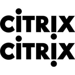 Citrix Stickers – Motorsport Sponsor Racing Livery Decals (2-Pack)