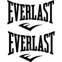 2x Everlast Sticker Decal Decal Stickers - DecalsHouse