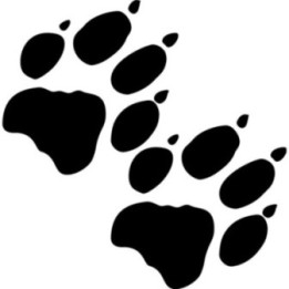 2x Poot Logo Sticker Decal Decal Stickers - DecalsHouse