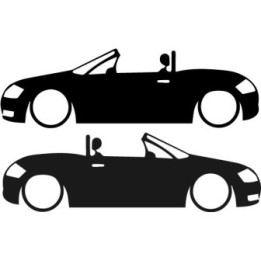 Buy Audi Tt Cabrio Low Sticker Online