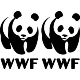 WWF Panda Stickers – Wildlife Conservation Decals (2-Pack)