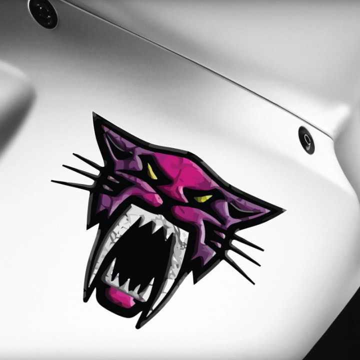 Arctic Cat Head Logo Pink Pattern Stickers Decals x2 - DecalsHouse