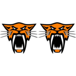 Arctic Cat Head Stickers – Snowmobile ATV UTV Orange Decals (2-Pack)