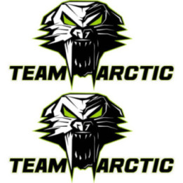 Arctic Cat Head Style 5 Stickers Decals x2 - DecalsHouse