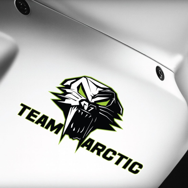 Arctic Cat Head Style 5 Stickers Decals x2 - DecalsHouse
