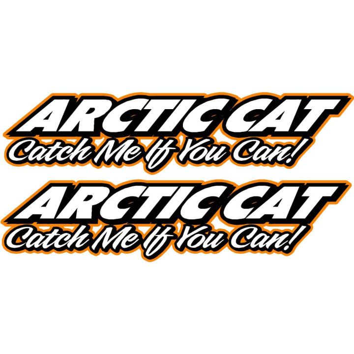 Arctic Cat Orange Lettering Stickers Decals x2 - DecalsHouse