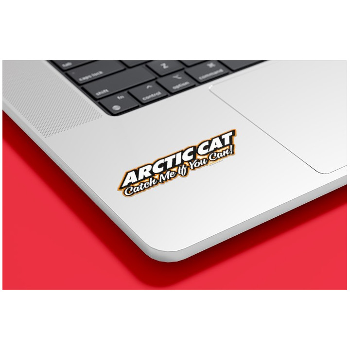 Arctic Cat Orange Lettering Stickers Decals x2 - DecalsHouse