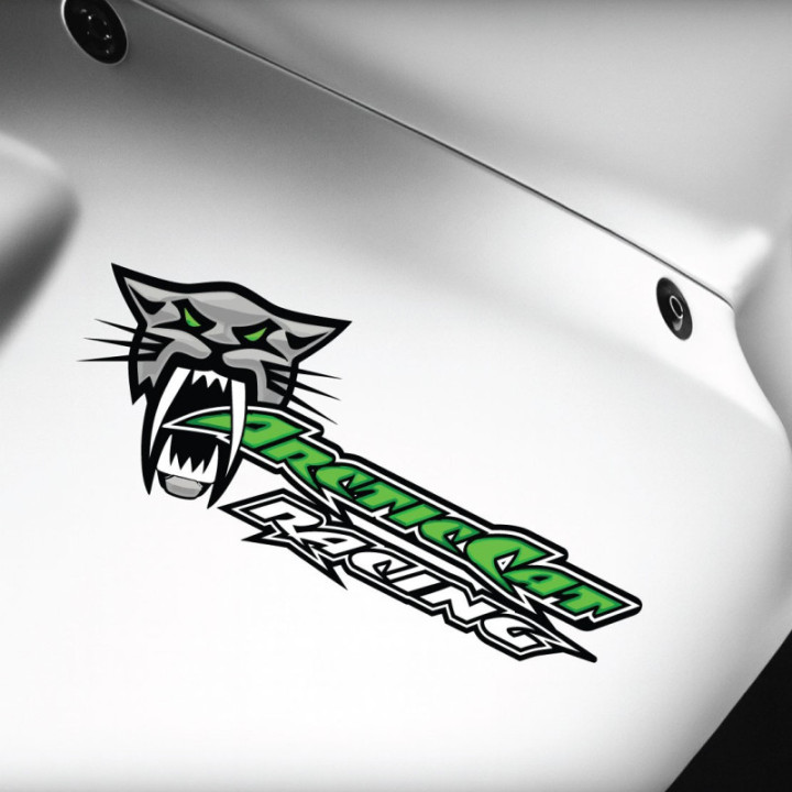 Arctic Cat Racing Logo Style 2 Stickers Decals x2 - DecalsHouse