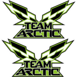 Arctic Cat Team Flags Stickers Decals x2 - DecalsHouse