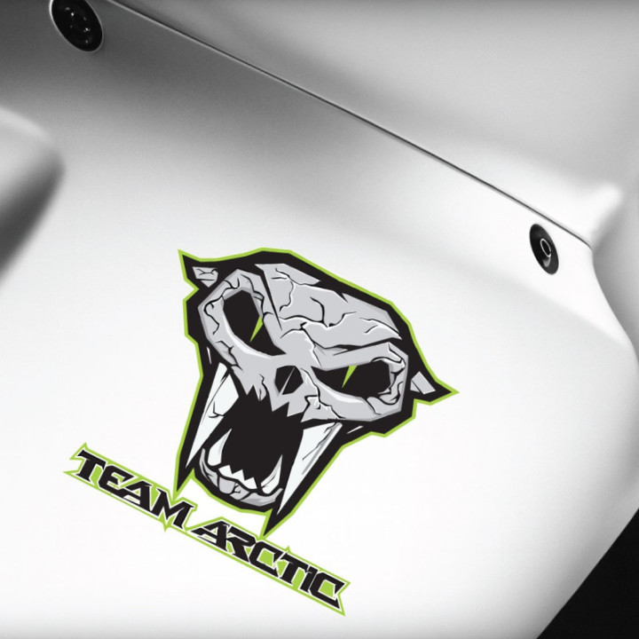 Arctic Cat Team Logo Stickers Decals x2 - DecalsHouse