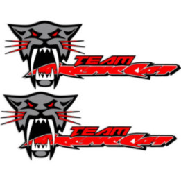Arctic Cat Team Red Stickers Decals x2 - DecalsHouse