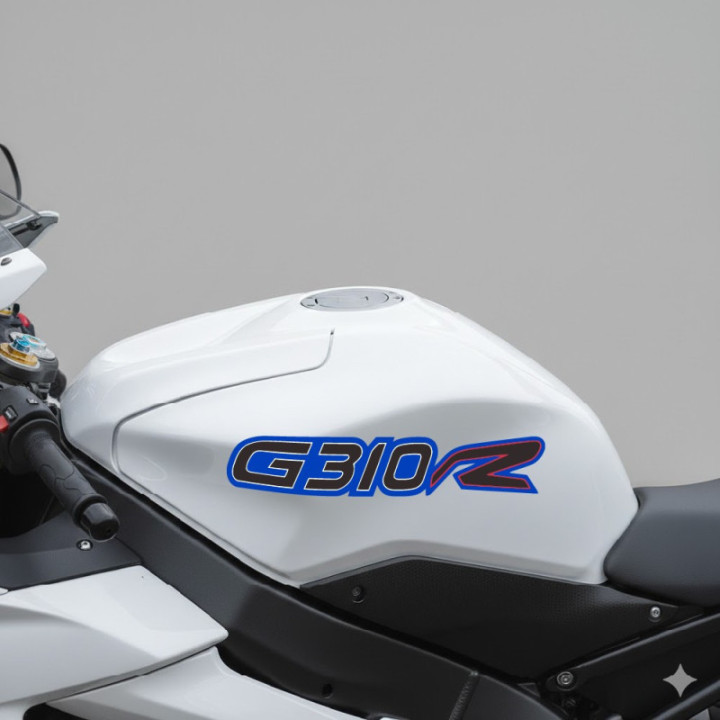 Bmw G310 Gs Stickers Decals x2 - DecalsHouse