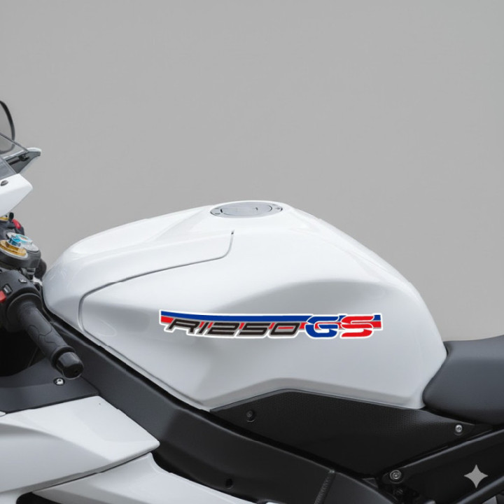 Bmw R 1250 Gs Stripes Stickers Decals x2 - DecalsHouse