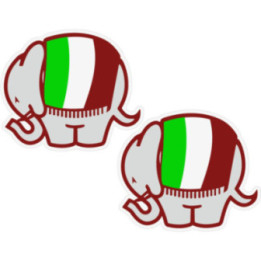 Cagiva Logo Symbol Stickers Decals 2x - DecalsHouse