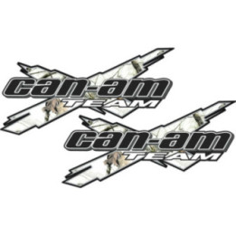 Can Am Team Logo Style 2 Stickers Decals 2x - DecalsHouse