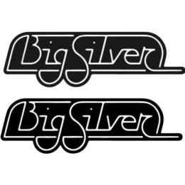 Buy Big Silver Caravan Sticker Online