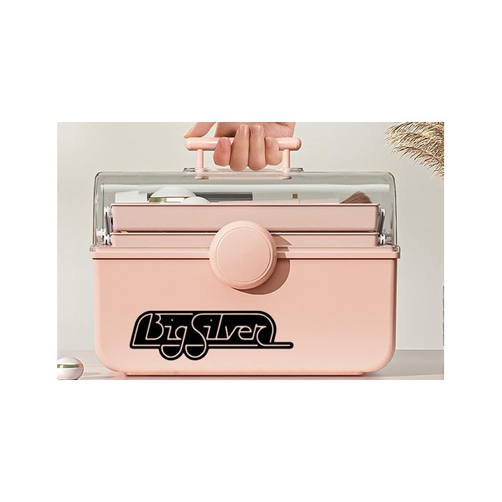 Buy Big Silver Caravan Sticker Online
