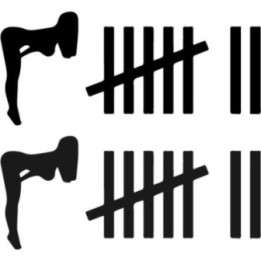 Bitches & Hoes Count Funny Stickers – Tally Decals (2-Pack)
