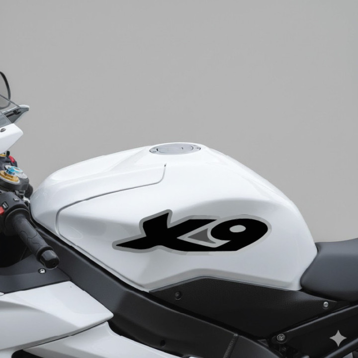 Piaggio X9 Stickers Decals 2x - DecalsHouse
