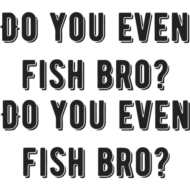 Do You Even Fish Bro Fishing Die Cut 14 [Converted] Decals Stickers - DecalsHouse