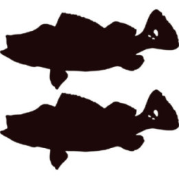 Peacock Bass Fishing Die Cut Decals Stickers - DecalsHouse