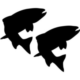 Trout Silhouette Fishing 29 Die Cut Decals Stickers - DecalsHouse