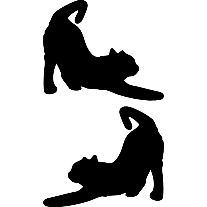 Buy Cat Stretching Online