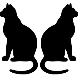 Buy Cat Online