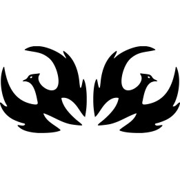 Buy Pivot Wings Cycling Online